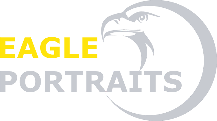 Eagle portraits